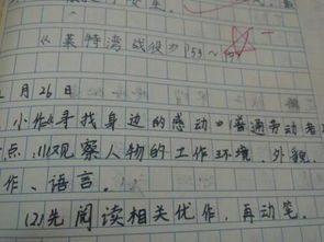 原来感动一直都在作文800字作文开头结尾