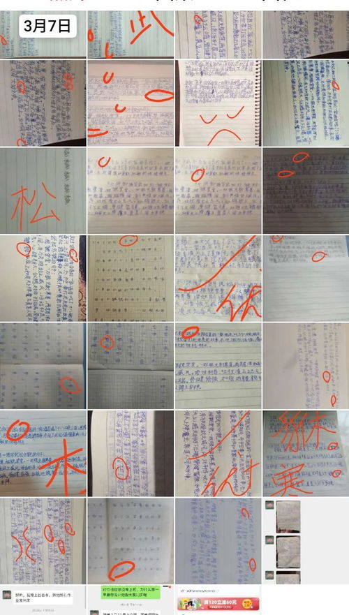 关于珍惜作文好开头好结尾