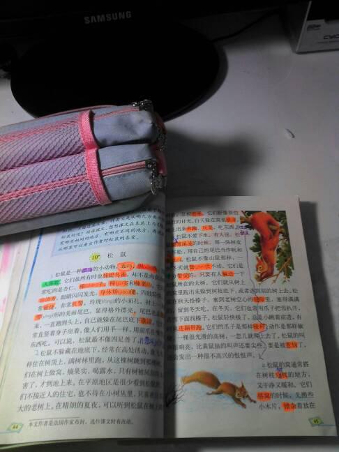 关于动物的说明文(关于动物的初中说明文)