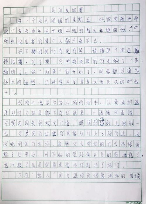 关于校园足球作文(关于校园足球作文600字精选)
