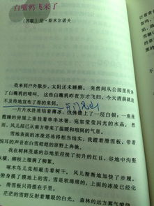 爱情作文开头设置悬念