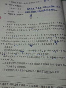 比喻开头法的作文开头,含有比喻的作文开头,运用比喻的作文开头
