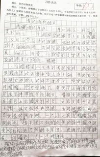 萧山作文()