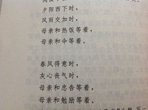 美丽的守候用比兴式作文开头