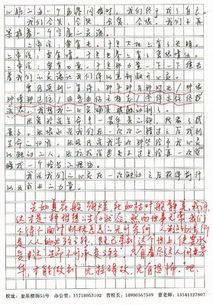 有关触动心灵的作文开头