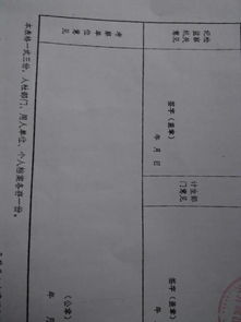 事业编政审个人总结(事业人员政审个人总结)