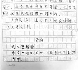 珍贵的东西作文六级作文开头