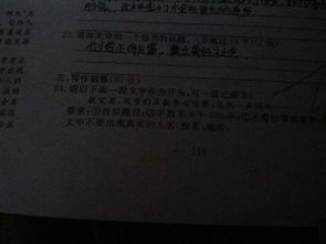 有温度的目光记叙作文开头结尾