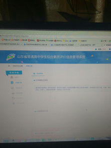 高中陈述报告(高中陈述报告)