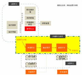 新项目运营方案(运营方案)