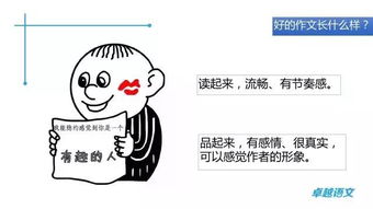 拯救动物开头作文