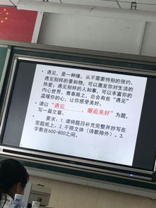 美丽的相遇作文开头