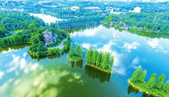 乐至南湖公园作文开头