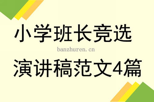 关于老师的演讲稿范文(关于老师的演讲稿范文)