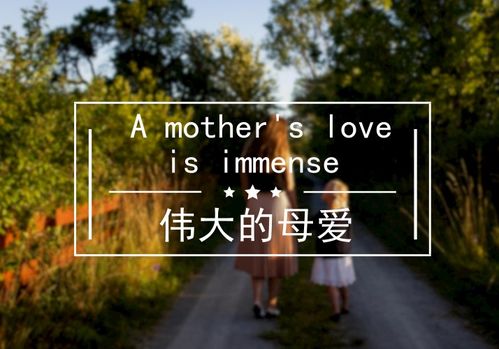 初一作文经典开头结尾母爱