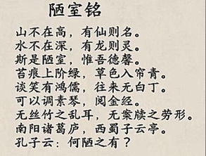 作文晚上的开头