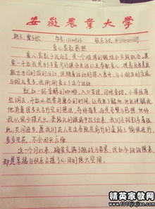 社区服务活动报告范文(大学生社区服务活动的社会实践报告)
