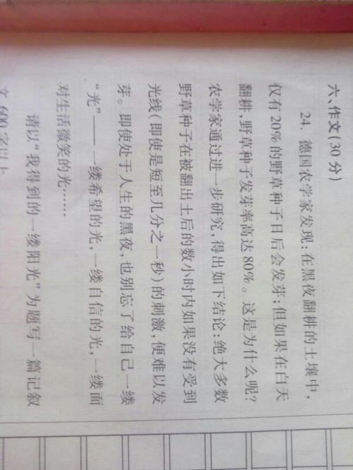那一次我收获了什么600字作文开头
