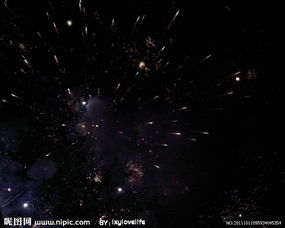 烟花，绽放(烟花绽放作文)