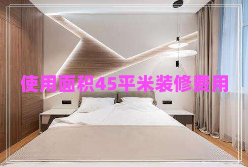 使用面积45平米装修费用