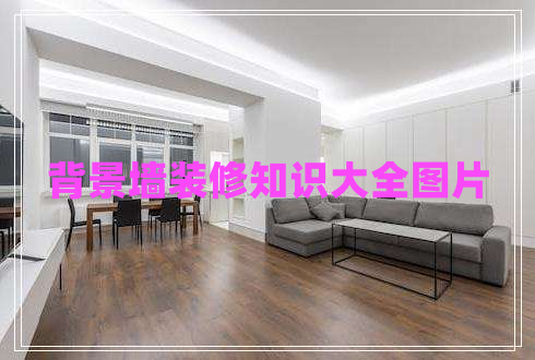 背景墙装修知识大全图片