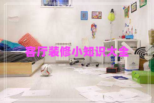 客厅装修小知识大全