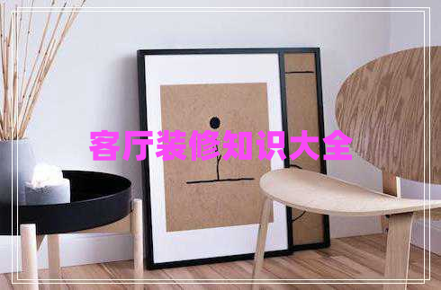 客厅装修知识大全
