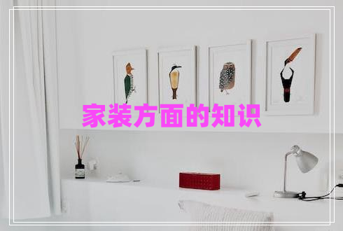 家装方面的知识