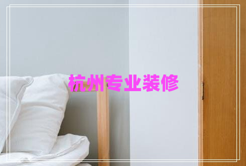 杭州专业装修