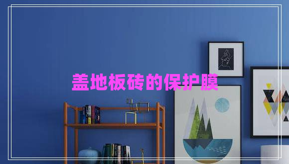 盖地板砖的保护膜