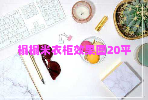 榻榻米衣柜效果图20平