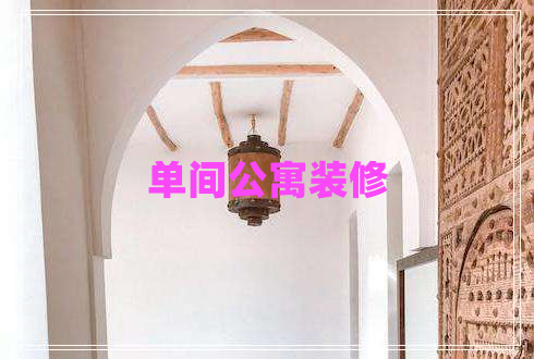 单间公寓装修