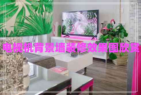 电视机背景墙装修效果图欣赏