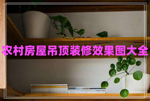 农村房屋吊顶装修效果图大全