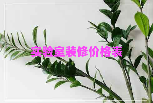 实验室装修价格表