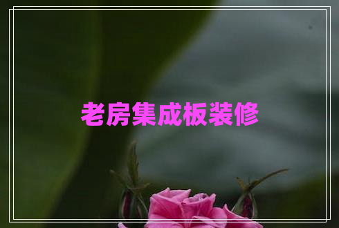 老房集成板装修