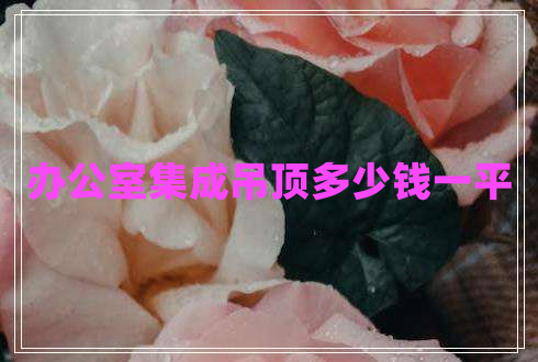 办公室集成吊顶多少钱一平