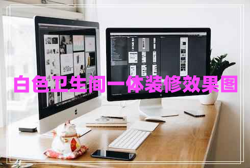 白色卫生间一体装修效果图