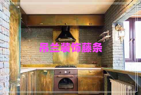 吊兰装饰藤条