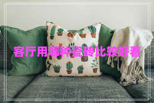 客厅用哪种瓷砖比较好看