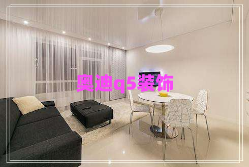 奥迪q5装饰