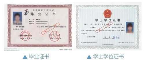 全日制自考本科的缺点