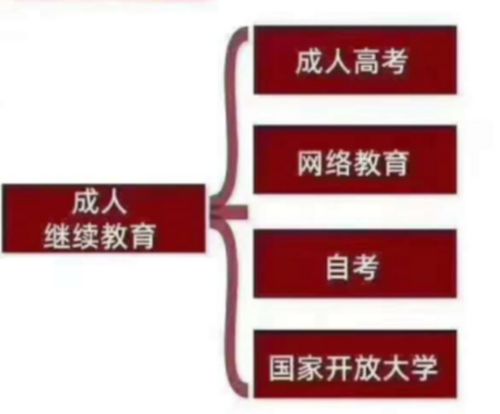 成人高考和自考本科哪个含金量高