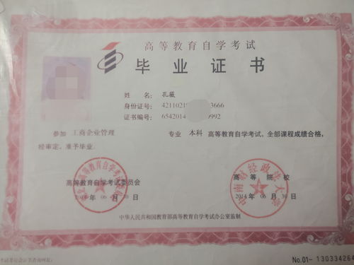 中南财经政法大学自考本科多少钱