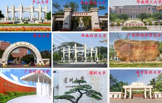 新疆自考本科学费多少钱啊