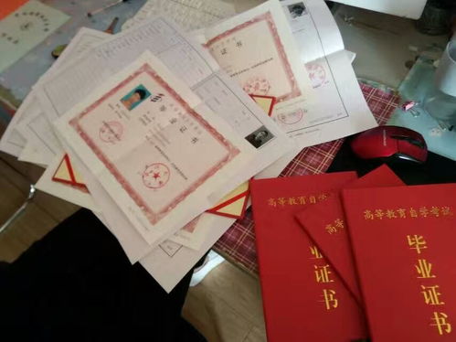 18成人自考本科