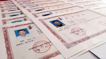 自考本科毕业后学信网什么时候会显示