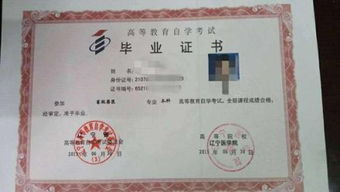 自考本科可以报护师吗