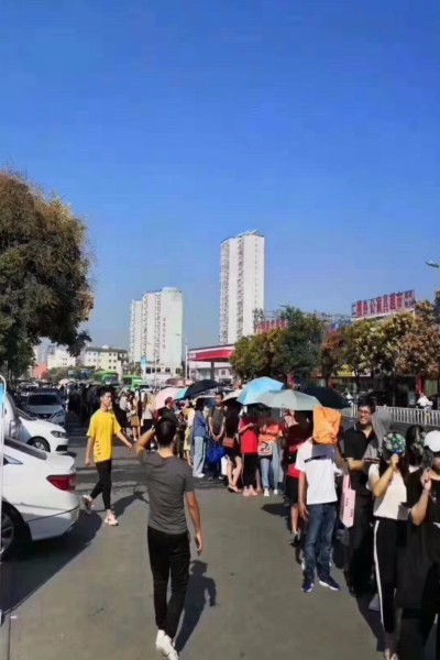 河南省自考本科服务平台官网