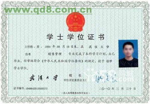 会计自考本科考研专业有哪些专业